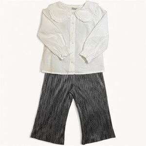 Outfit Bundle - Popcorn Blouse with Collar and Metallic Wide-leg Cropped Pants